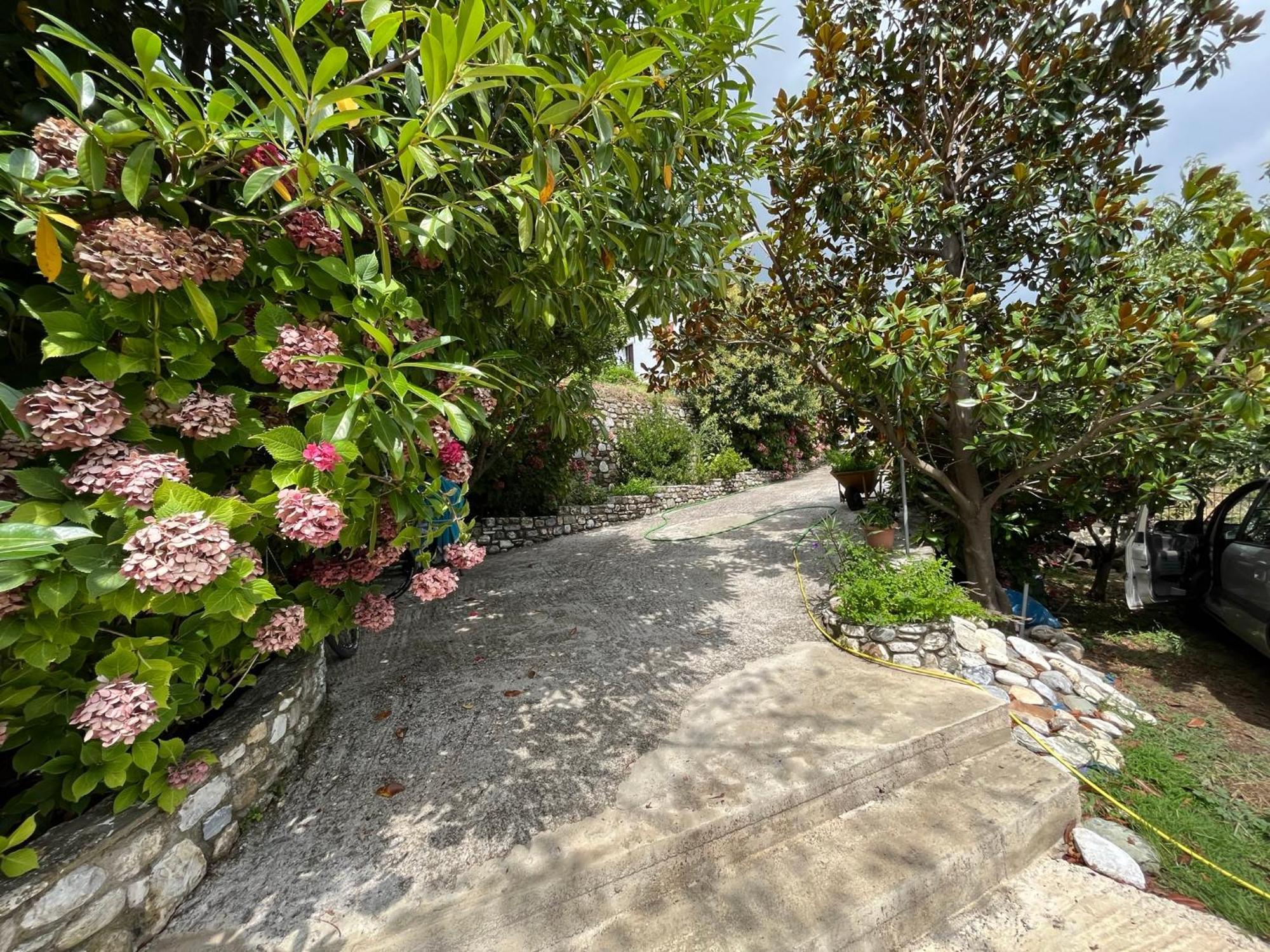Guest House Pafili Zagora Exterior photo